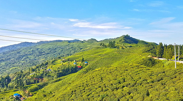 Fly to Bhadrapur 100m and Drive to Ilam