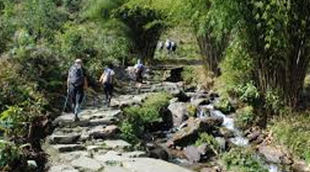 Trek from Num 1,497m to Seduwa 1,600m