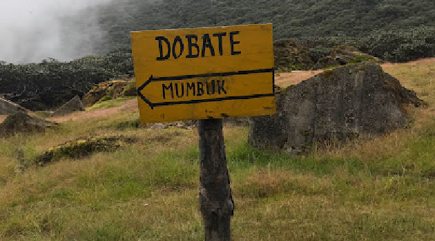 Trek from Dobate 2,721m to Yangri Kharka 4,410m