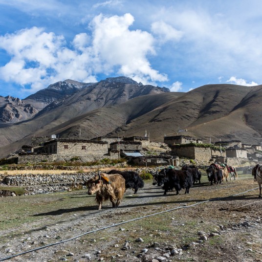 Trek to Jenga La Phedi 4,900m  from Sibu 4.560m