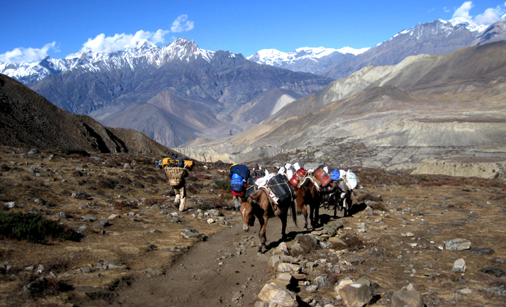 Trek to Jomsom 2,743m