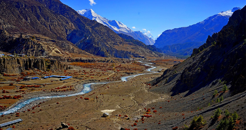 Trek from Ngawal 3,650m to Manang 3,519m
